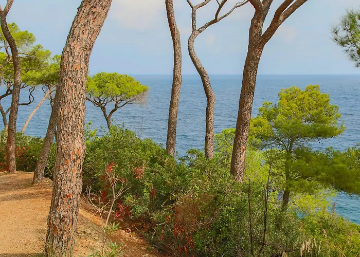 Allegroitalia Elba Capo D'arco 3*