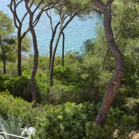 מלון דירות Allegroitalia Elba Capo D'arco