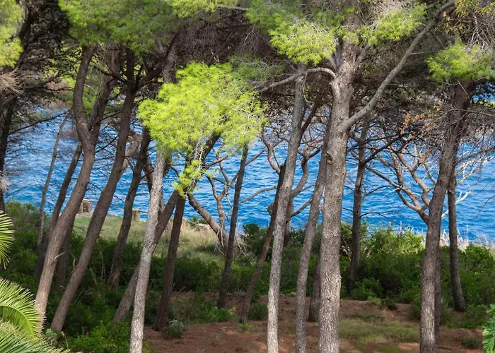 Allegroitalia Elba Capo D'arco מלון דירות ריו מרינה