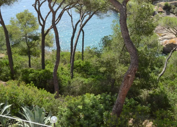 מלון דירות Allegroitalia Elba Capo D'arco